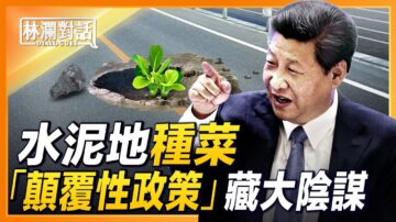 【林瀾對話】水泥地種菜 顛覆性政策藏大陰謀