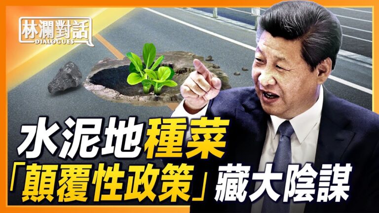 【林瀾對話】水泥地種菜 顛覆性政策藏大陰謀