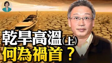 【方菲訪談】王維洛：高溫乾旱何為禍首