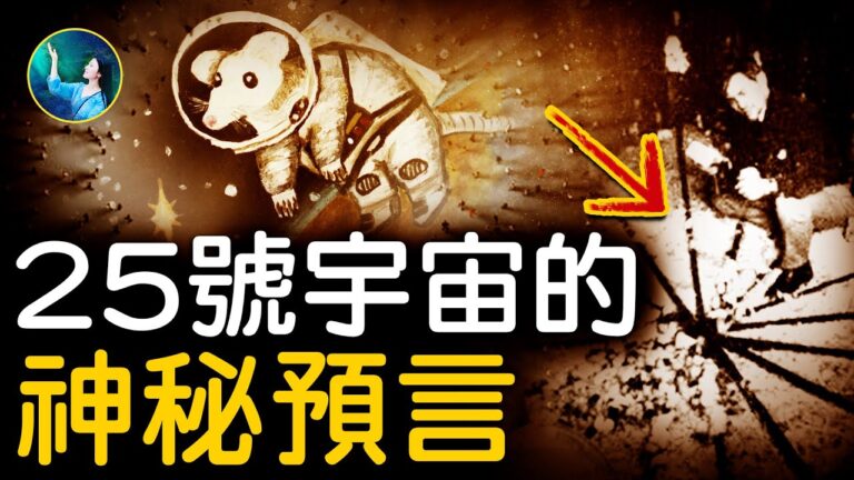 【未解之謎】老鼠烏托邦