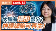【健康1+1】大脑有隐形部分？神经细胞可再生！