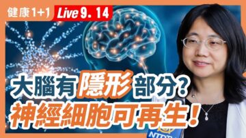 【健康1+1】大脑有隐形部分？神经细胞可再生！