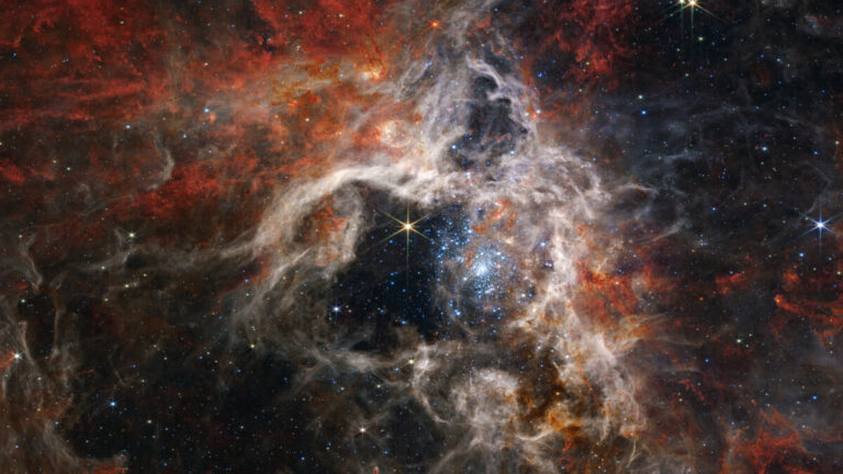 韋伯捕獲蜘蛛星雲內數萬顆前所未見的年輕恒星