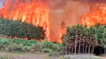 中國多地山火 廣西民曝村莊燒毀沒救援