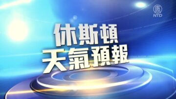 休斯顿一周天气预报