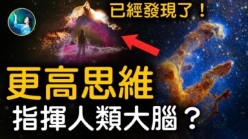 【未解之谜】给凡妮莎的信（3）不可思议的盲视