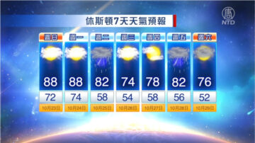 休斯顿一周天气预报