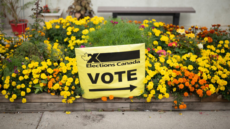 連線加拿大：暗中干預民主國家選舉 加國人憂中共政治滲透