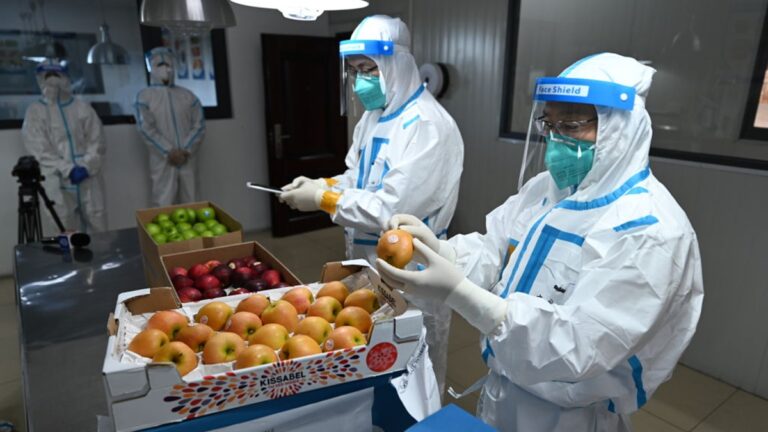 【一線採訪】中共極端防疫造成多地農產品滯銷
