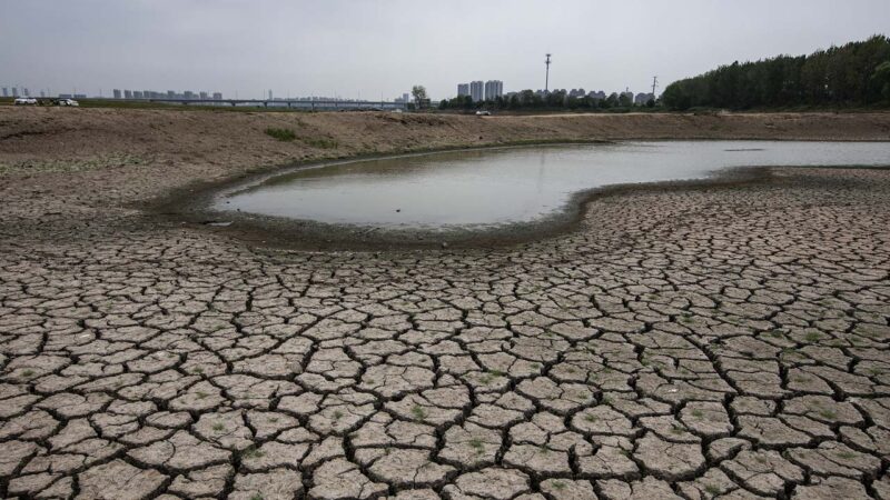 20大前上海人囤水！水荒擔憂原因曝光