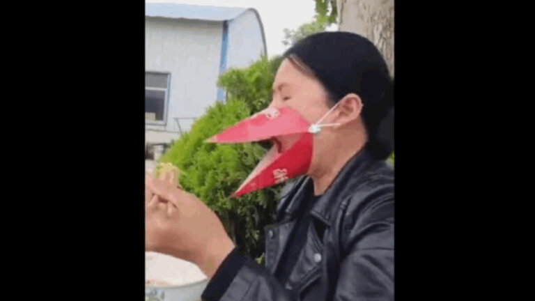 404熱文：弄成這副鳥樣才符合權力審美