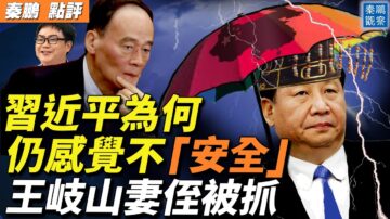 【秦鹏直播】习仍感觉不安全？王岐山妻侄被抓