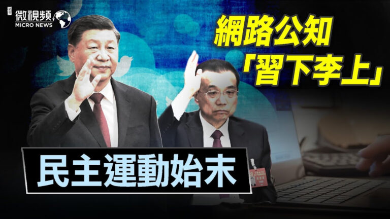 【微視頻】網絡公知「習下李上」民主運動始末