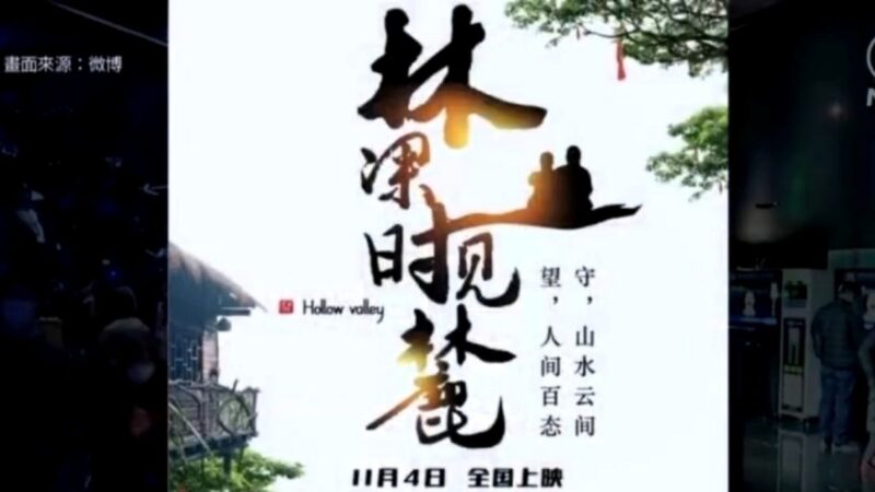 【中国一分钟】清零重创！陆电影票房惨澹 新片首映仅2人看