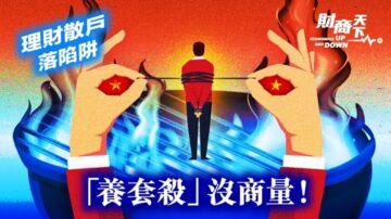 【财商天下】理财散户落陷阱 “养套杀”没商量