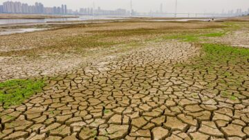 中國南方乾旱持續 浙江多地發乾旱警報