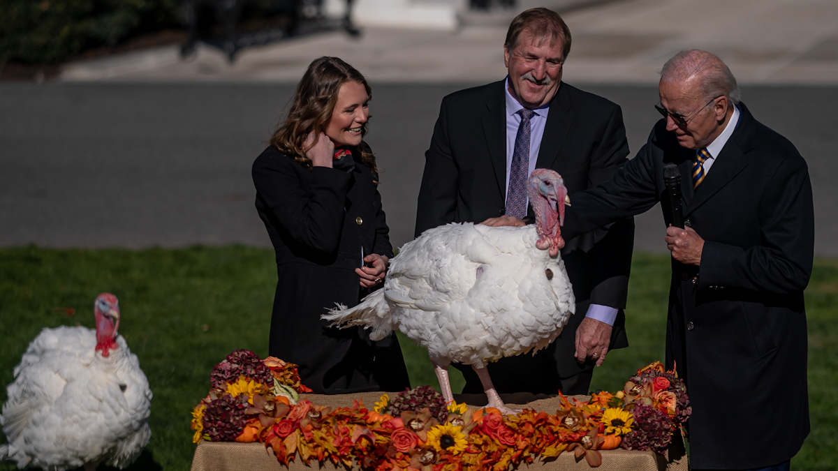 感恩节恩典火鸡“巧克力”和“薯片”获拜登特赦| 赦免火鸡| 新唐人电视台
