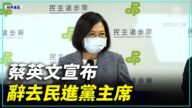 【直播】蔡英文宣布辞去民进党主席