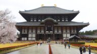 【你好日本】尘封的记忆 – 日本奈良东大寺