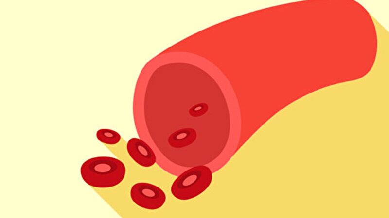 肠道是造血中枢 吃饭做到3件事 血液变干净
