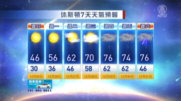 休斯顿一周天气预报