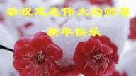 天津法輪功學員恭祝李洪志大師新年好(22條)
