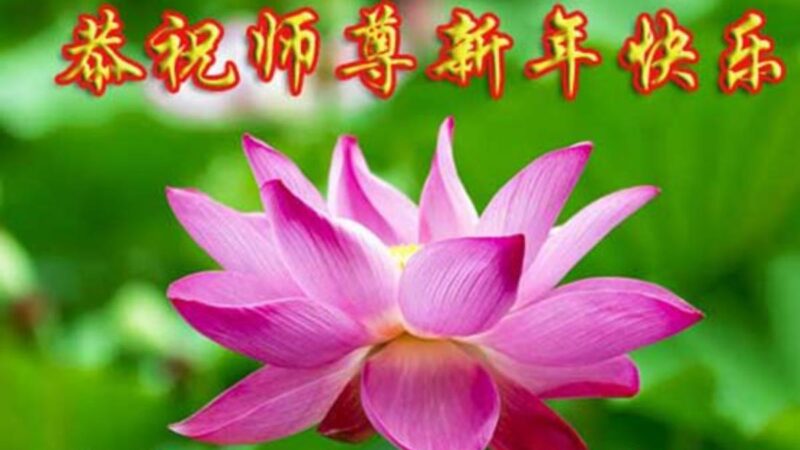 长春法轮功学员恭祝李洪志大师新年好(20条)