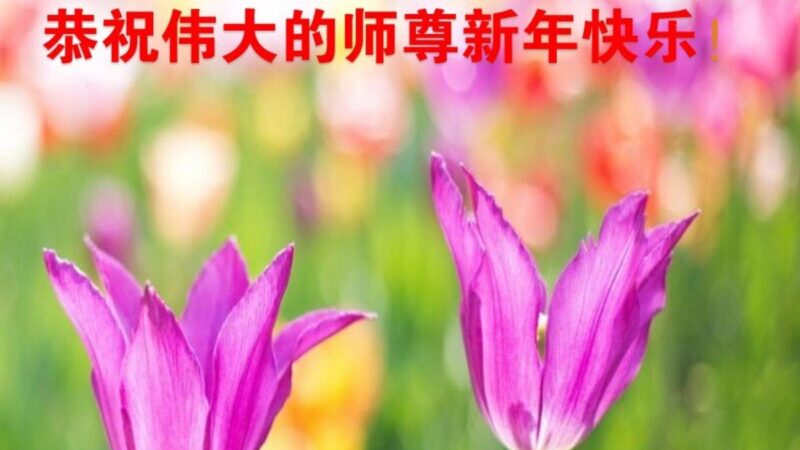 北京法輪功學員恭祝李洪志大師新年好(22條)