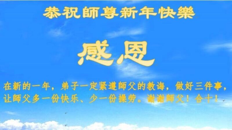 石家莊法輪功學員恭祝李洪志大師新年好(24條)
