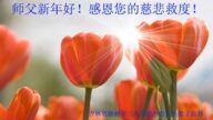 長春法輪功學員恭祝李洪志大師新年好(23條)