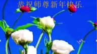 鄉村法輪功學員恭祝李洪志大師新年好(22條)