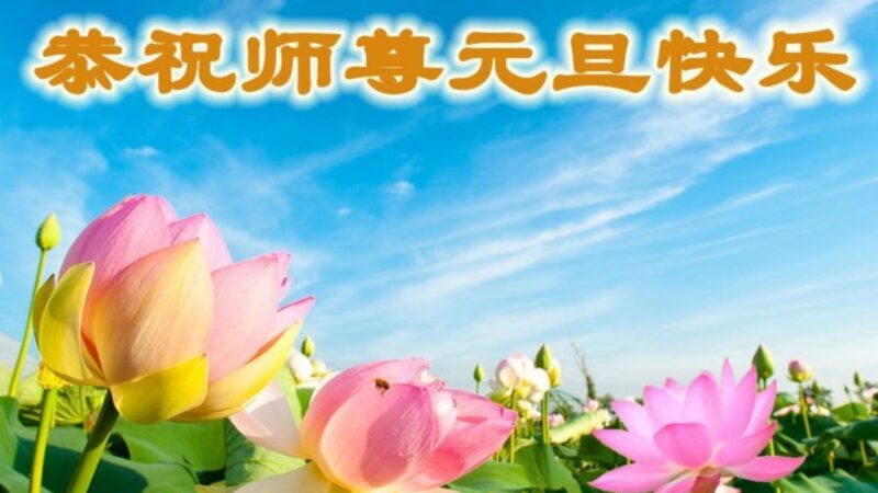 河北法輪功學員恭祝李洪志大師新年好(26條)