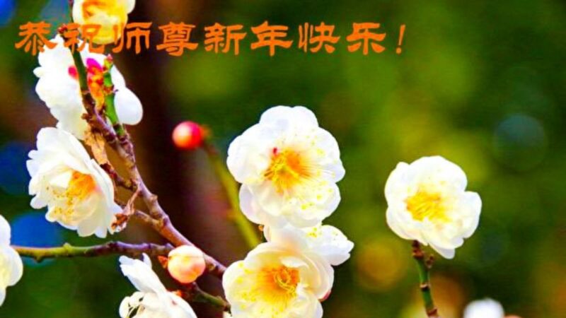 廣東法輪功學員恭祝李洪志大師新年好(28條)