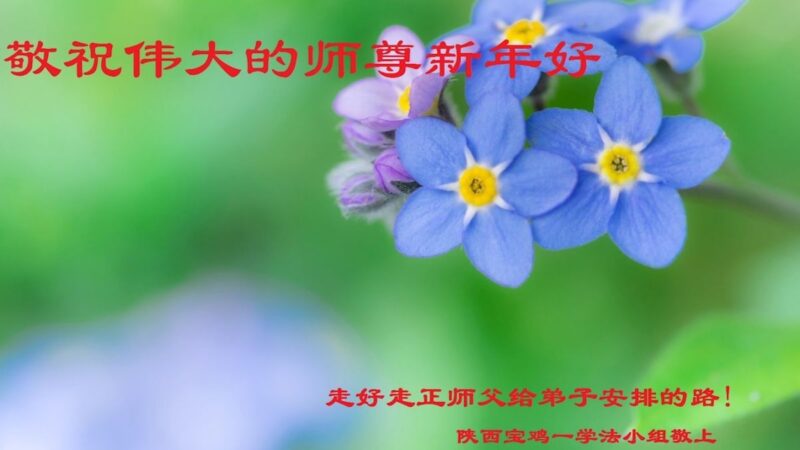 陕西法轮功学员恭祝李洪志大师新年好(20条)