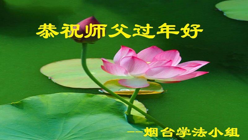 山东法轮功学员恭祝李洪志大师新年好(29条)