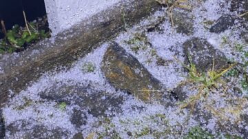 臉書分享「玉山凍雨」美景 鄭明典：雨水落地才結冰