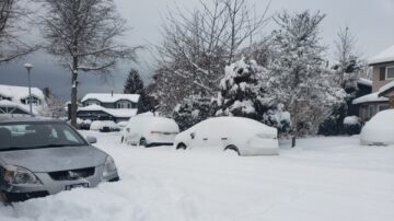 大雪扰乱温哥华海陆空交通 国际航班一票难求