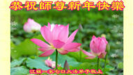 江蘇法輪功學員恭祝李洪志大師新年好(20條)