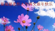 石家莊法輪功學員恭祝李洪志大師新年好(23條)
