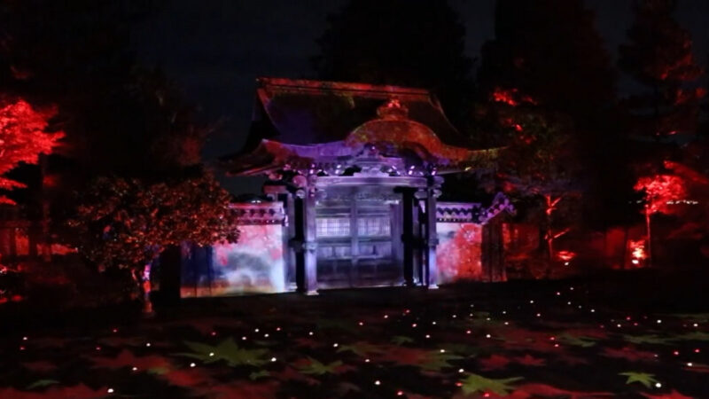 京都高台寺秋夜光宴 古寺新秀分外吸睛