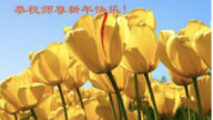 甘肅法輪功學員恭祝李洪志大師新年好(19條)