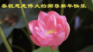 鄉村法輪功學員恭祝李洪志大師新年好(24條)