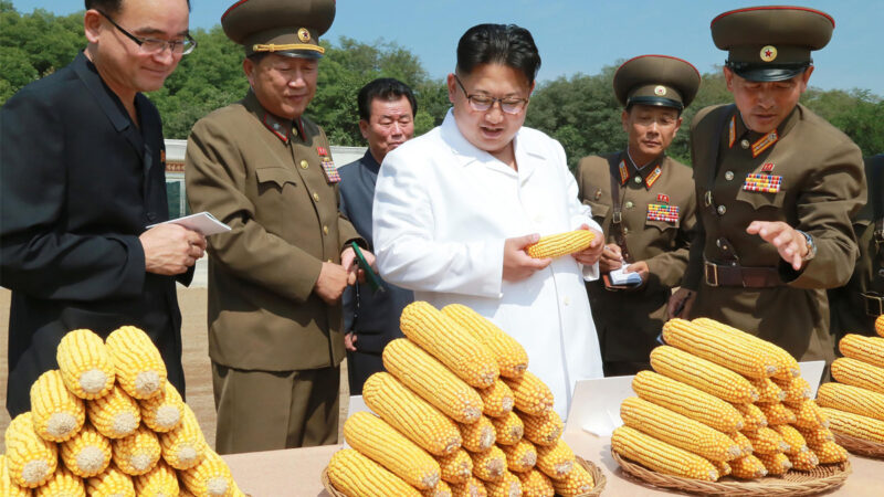 為保衛10公斤玉米 朝鮮老人疑遭盜賊打死