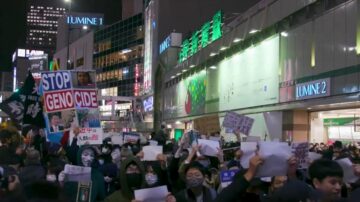 在日留学生声援“白纸革命” 日本议员声援