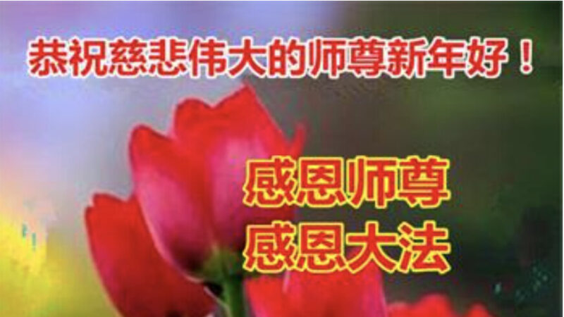 山东法轮功学员恭祝李洪志大师新年好(19条)