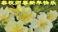 大慶法輪功學員恭祝李洪志大師新年好(23條)