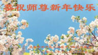 瀋陽法輪功學員恭祝李洪志大師新年好(20條)