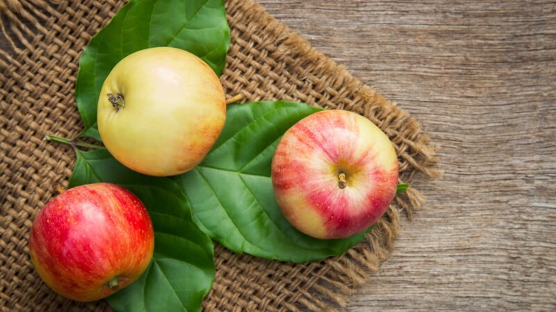 防癌缓解关节痛 苹果皮别削 营养价值比果肉高