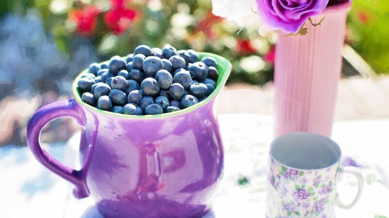 抗老化增强视力与脑力  “北美蓝宝石”蓝莓的9大功效