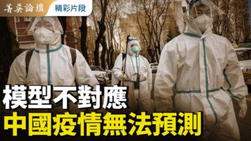 【菁英论坛】模型不对应 中国疫情无法预测